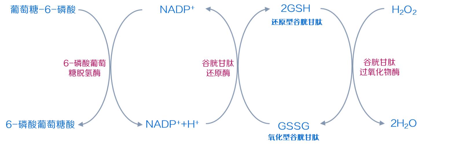 安琪谷胱甘肽