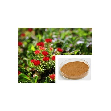 红景天提取物 络塞维