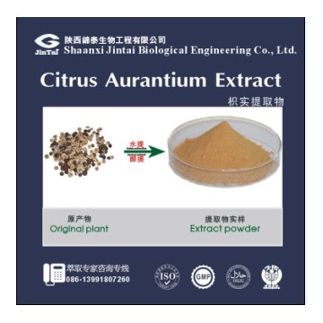 枳实提取物