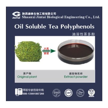 油溶性茶多酚
