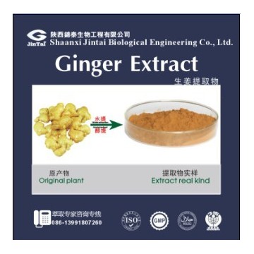 生姜提取物