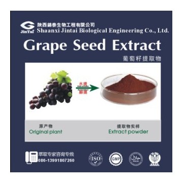 葡萄籽提取物