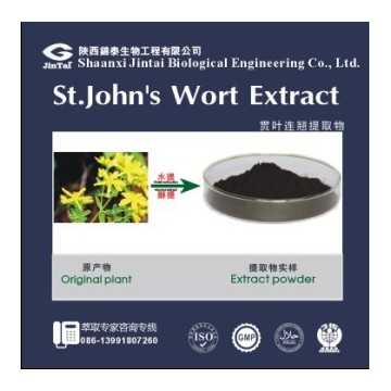 贯叶连翘提取物