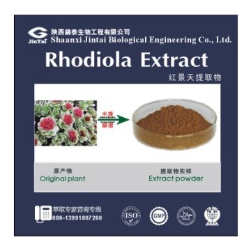 红景天提取物
