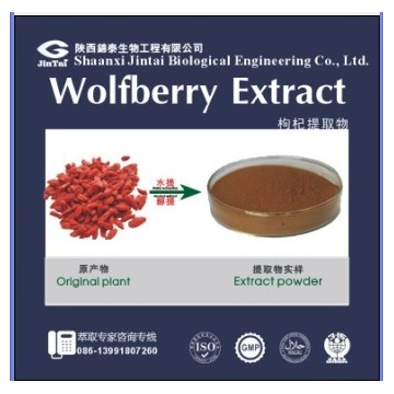 枸杞提取物