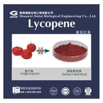 番茄红素