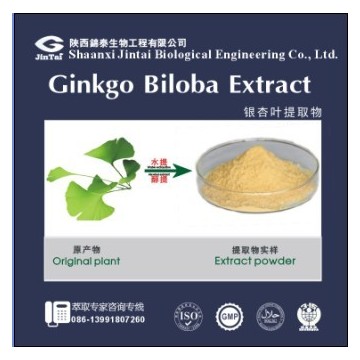 银杏提取物