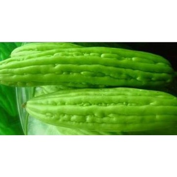 苦瓜提取物