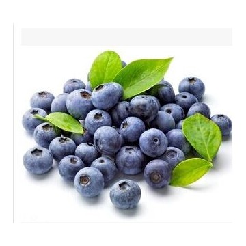 蓝莓提取物