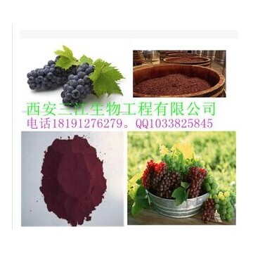 葡萄籽提取物