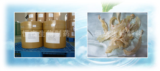 硫酸软骨素钠盐牛骨提取