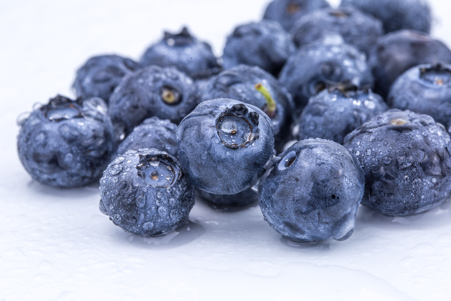[蓝莓]蓝莓的功效与作用，蓝莓怎么保存，蓝莓小常识，你都了解吗？ - 知乎
