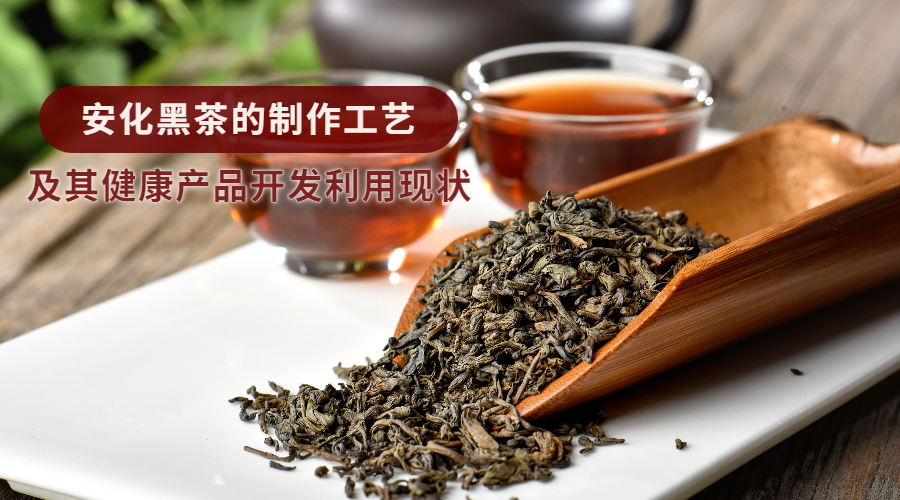 安化黑茶的制作工艺及其健康产品开发利用现状
