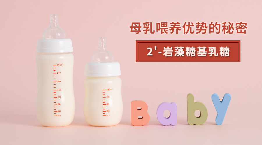 母乳喂养优势的秘密：2’-岩藻糖基乳糖