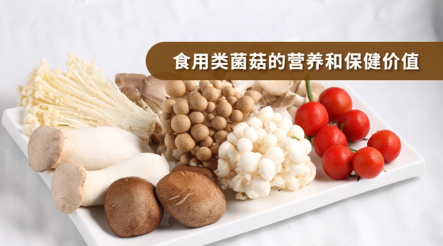 食用类菌菇的营养和保健价值