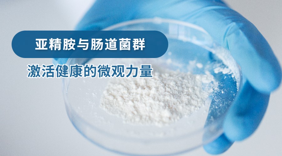 亚精胺与肠道菌群：激活健康的微观力量