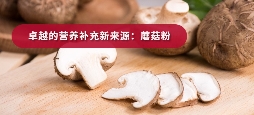 卓越的营养补充新来源：蘑菇粉