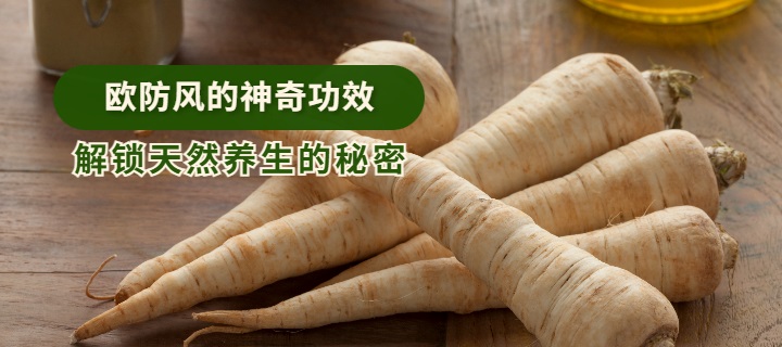 欧防风的神奇功效：解锁天然养生的秘密