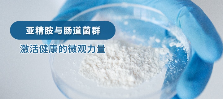 亞精胺與腸道菌群：激活健康的微觀力量