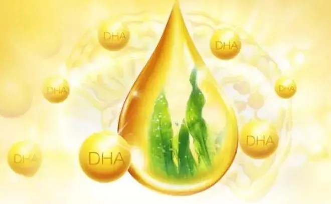 DHA藻油（进口清关、粒子分装、监管区组装）