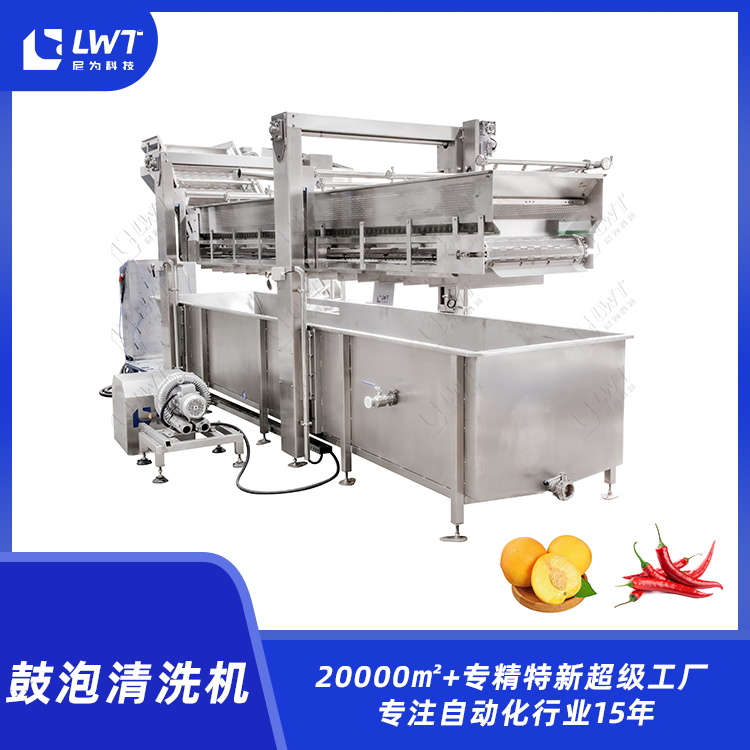 果蔬清洗机个蔬菜水果喷淋鼓泡清洗设备