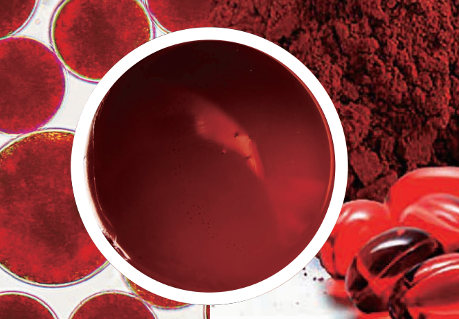 雨生红球藻制品（液态