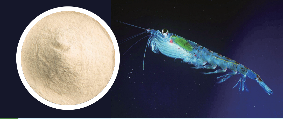 南极磷虾蛋白肽粉