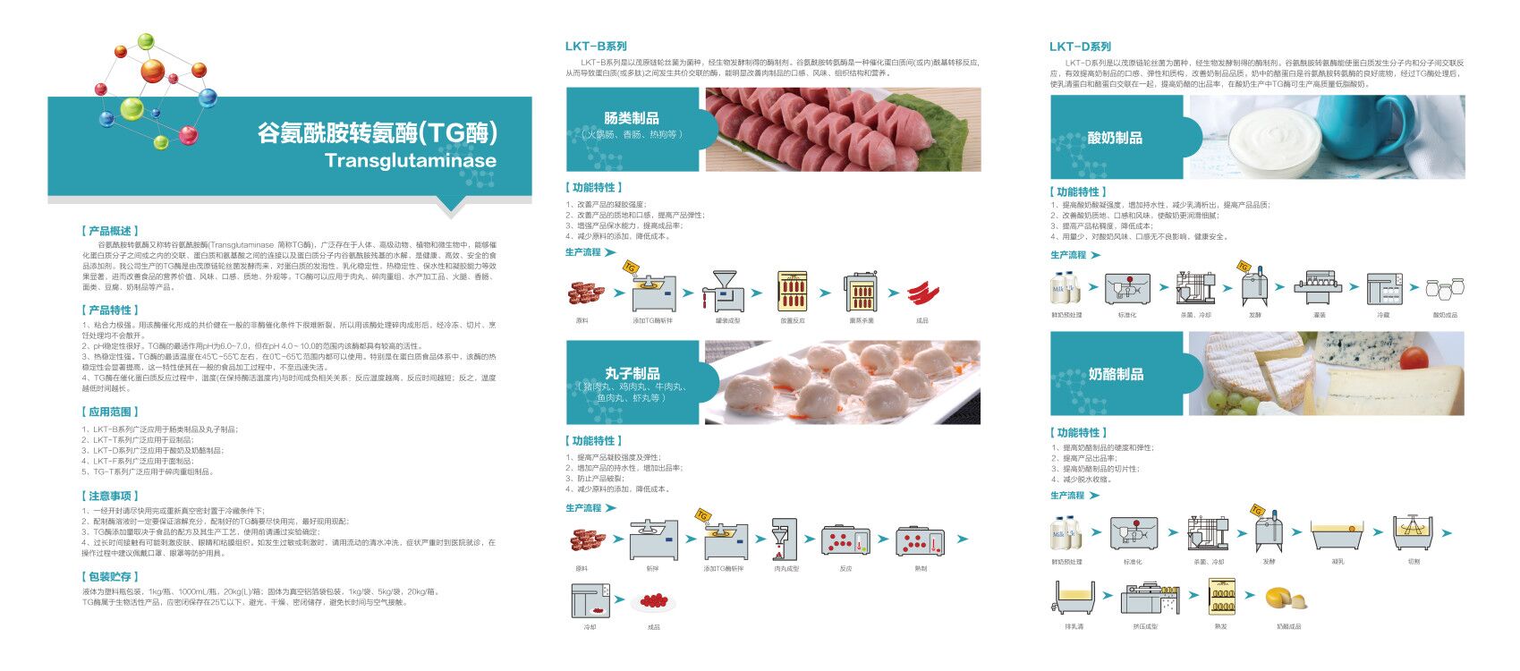 谷氨酰胺转氨酶