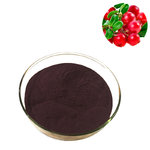 蔓越莓提取物