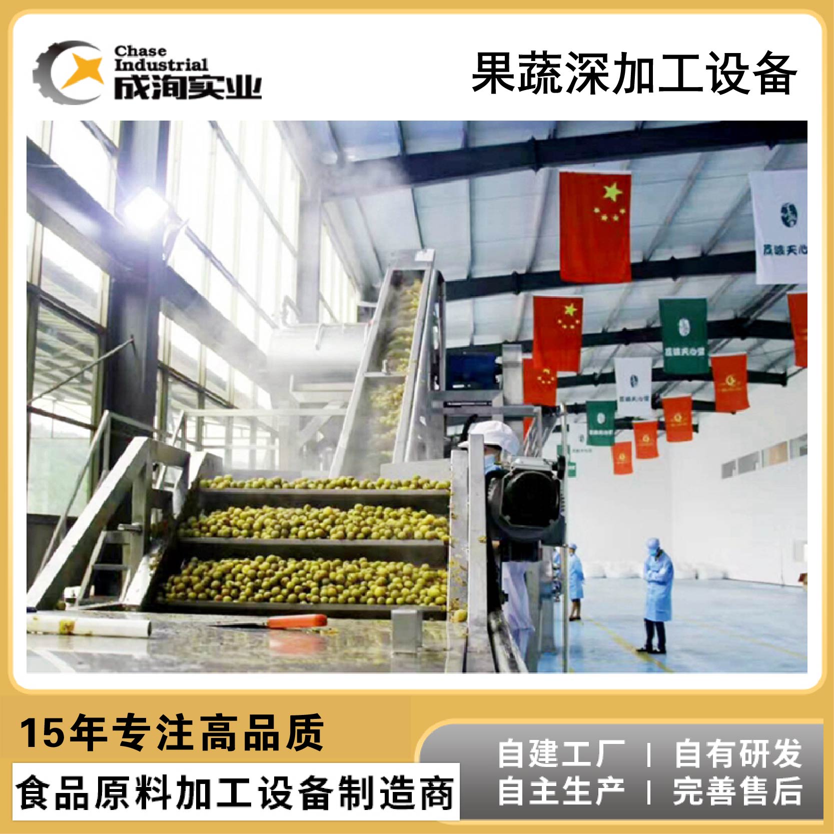 桃汁加工设备 桃李杏饮料整套设备生产线