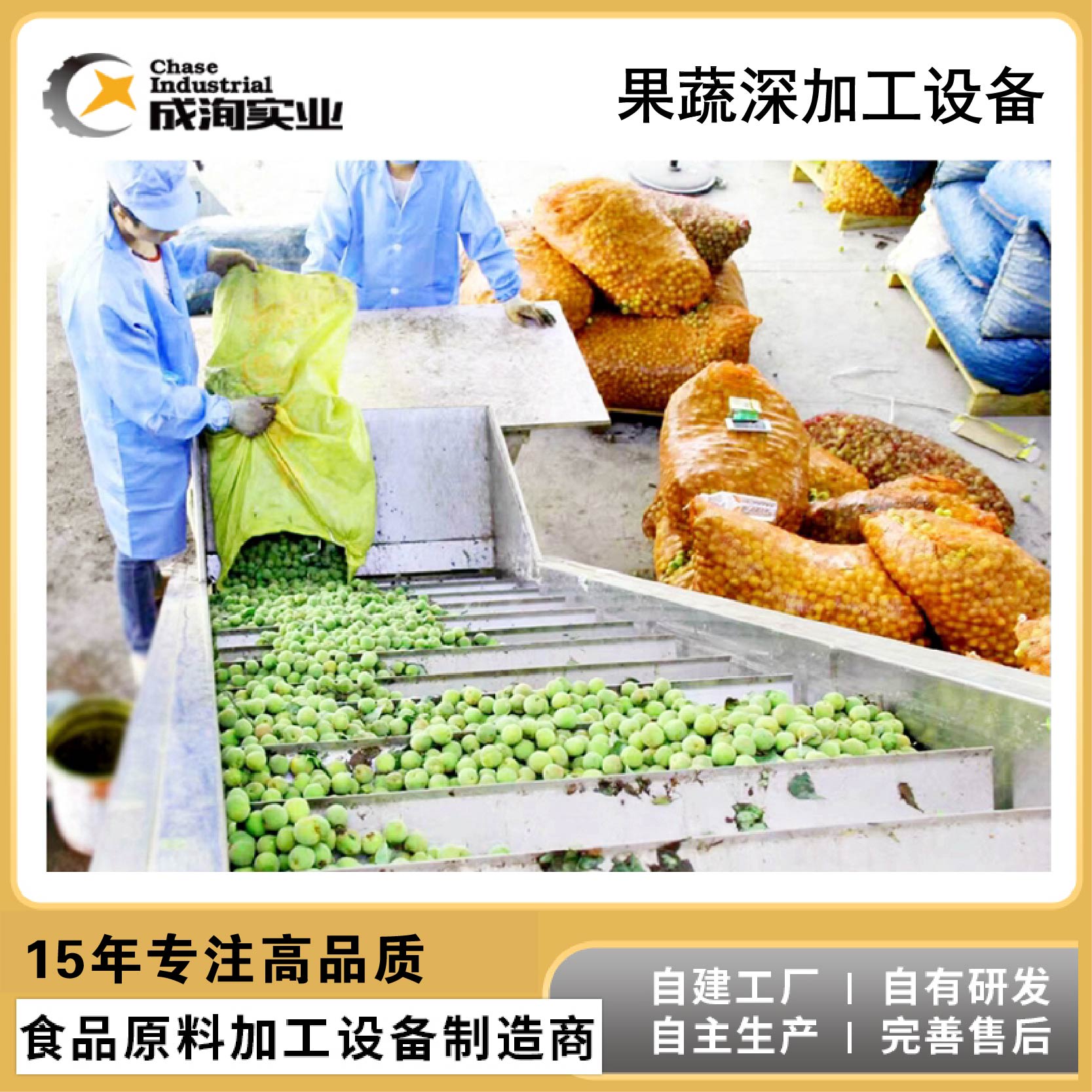 青梅浓缩膏加工设备生产线