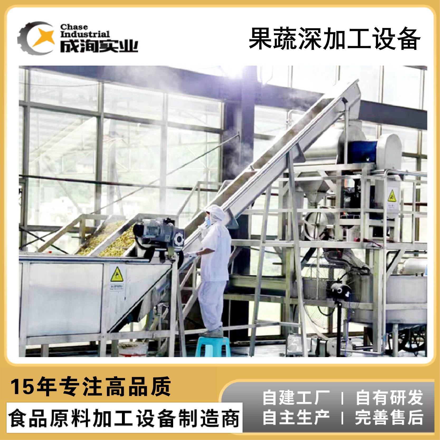 浆果加工设备生产线 蓝莓汁 树莓汁生产线