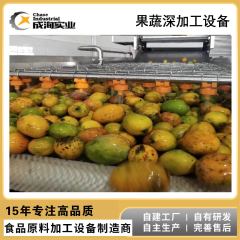芒果浆加工设备生产线