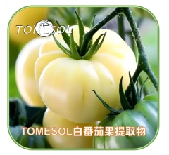 TOMESOL水晶白番茄提取物 | 白番茄浓缩粉 | TOMESORAL白晶番茄浓缩粉