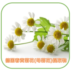 洋甘菊（德国春黄菊花）提取物