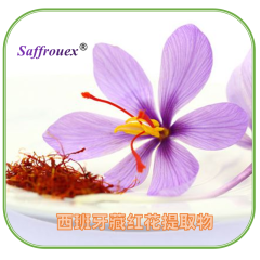 Saffrouex 藏红花提取物 | 藏红花提取物 | 妆药食同源藏红花