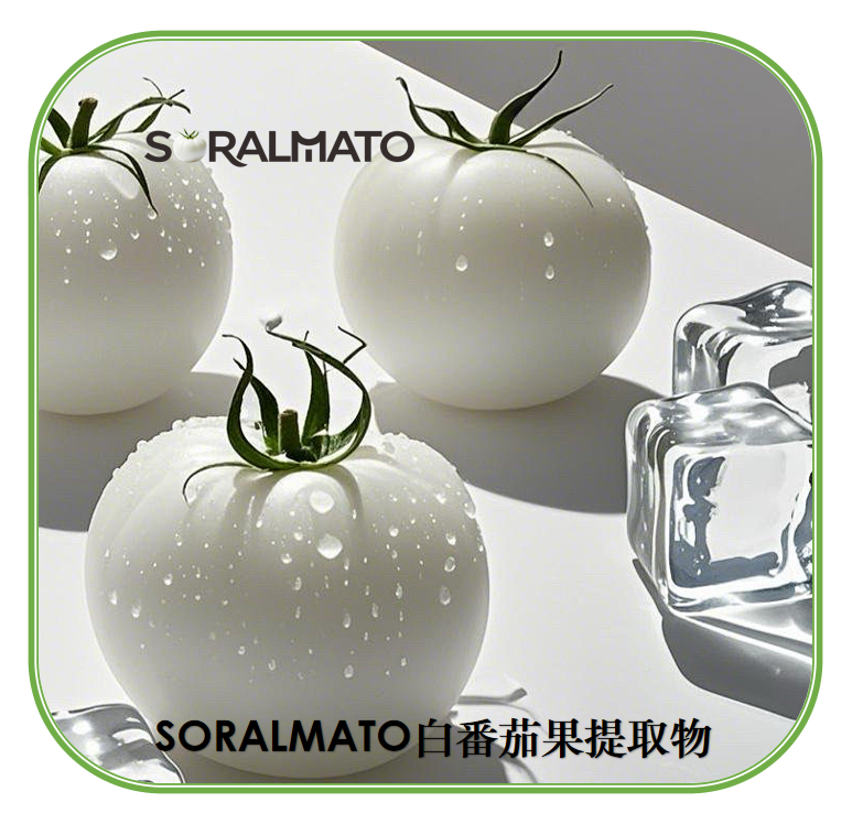 SORALMATO水晶白番茄提取物 | 脂质体SORALMATO白番茄浓缩粉