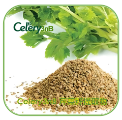 Celery3nB 芹菜籽提取物