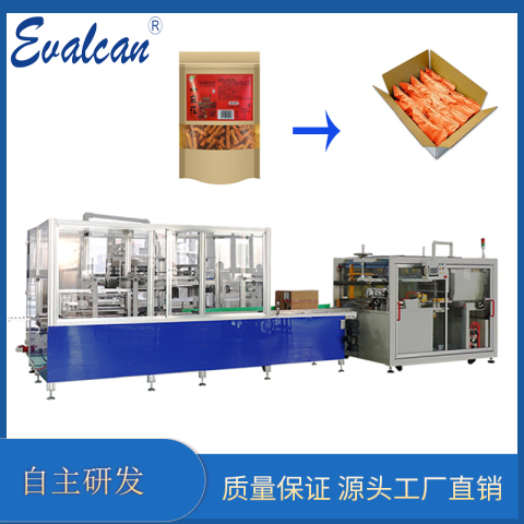 全自動(dòng)裝箱機(jī)