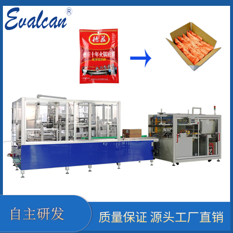 全自動(dòng)裝箱機(jī)