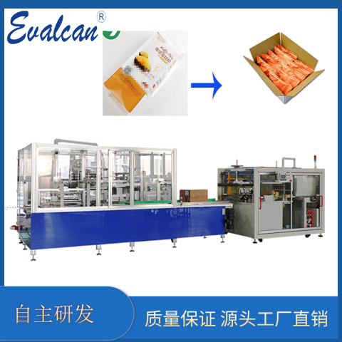 全自動(dòng)裝箱機(jī)