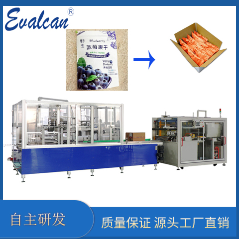 全自動裝箱機(jī)