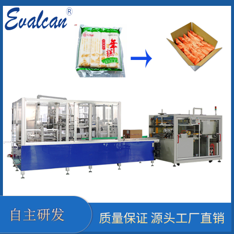 全自動(dòng)裝箱機(jī)