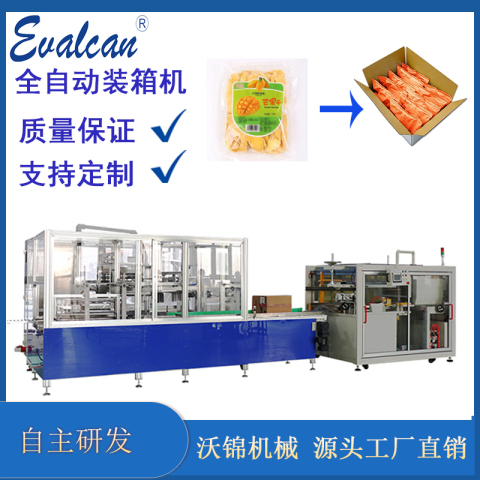 全自動(dòng)裝箱機(jī)