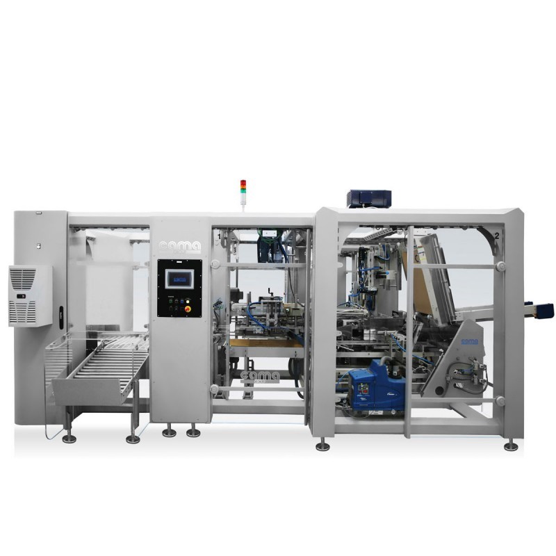 IN - Case Packing machine