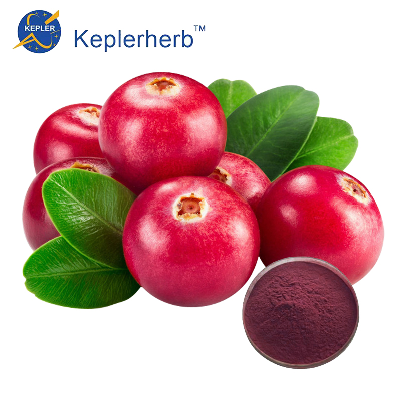 蔓越莓提取物 原花青素5%天然植物提取物果粉 源头工厂 资质齐全可商检