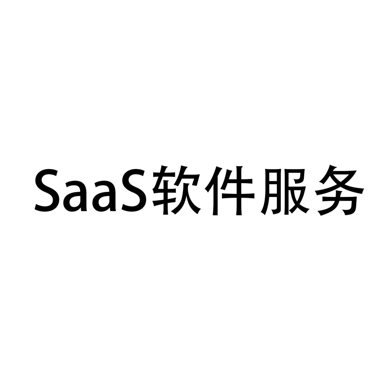 SaaS软件服务