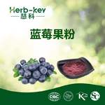 蓝莓果粉