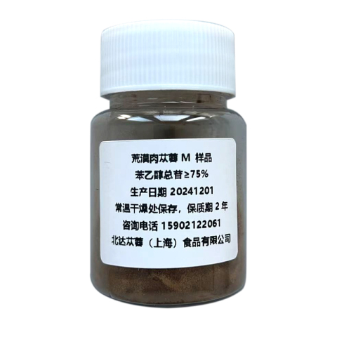 荒漠肉苁蓉M原料 苯乙醇总苷≥75%