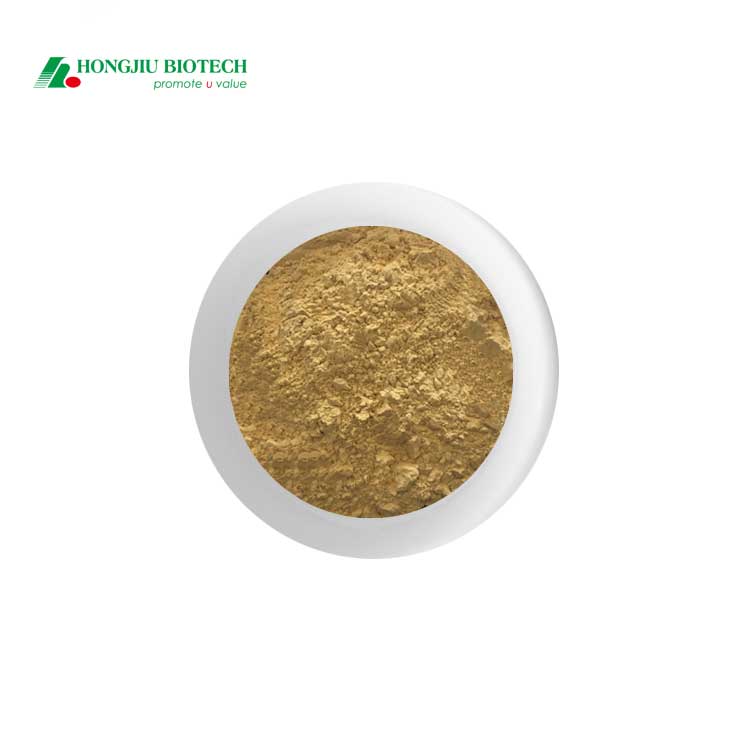 紫锥菊提取物，松果菊提取物SC工厂供应